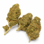 LONDON POUND CAKE - MOLECULES BZ HYDROPONIE