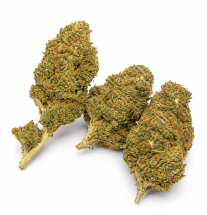 LONDON POUND CAKE - MOLECULES BZ HYDROPONIE