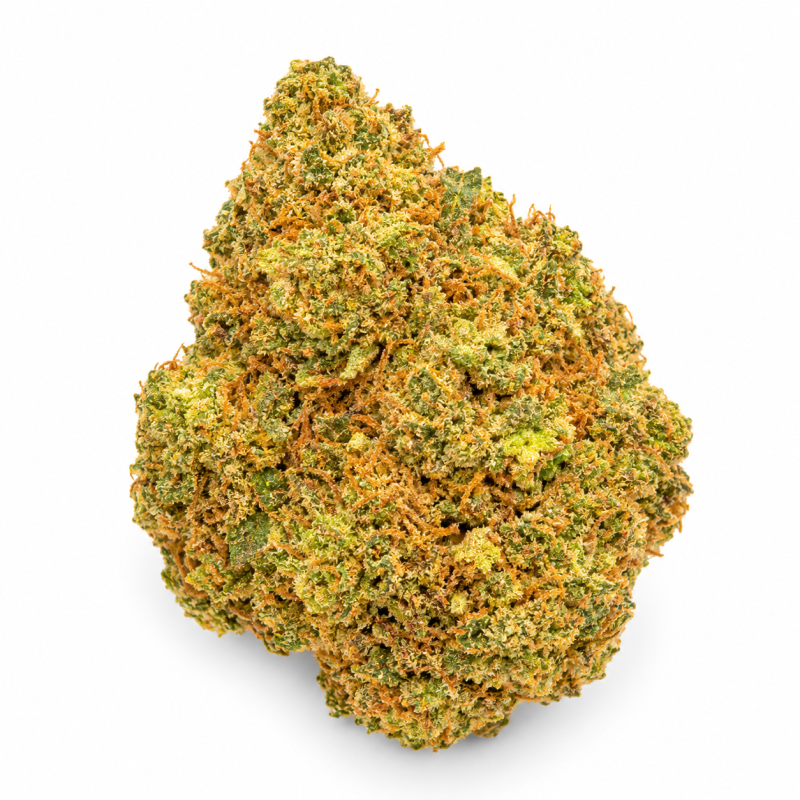 NORTHERN LIGHT - MOLECULES BZ HYDROPONIE