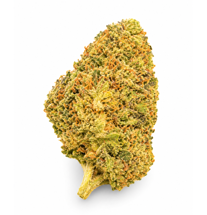 ORANGE SHERBET - MOLECULES BZ HYDROPONIE