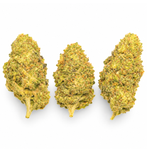 ORANGE SHERBET - MOLECULES BZ HYDROPONIE