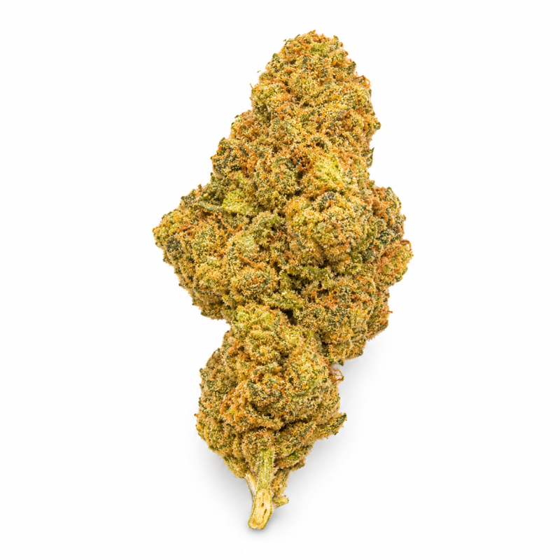 WEDDING CRASHER - MOLECULES BZ HYDROPONIE