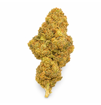 WEDDING CRASHER - MOLECULES BZ HYDROPONIE