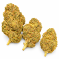 WEDDING CRASHER - MOLECULES BZ HYDROPONIE