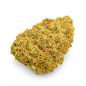 MAGIC MARKER - MOLECULES BZ HYDROPONIE