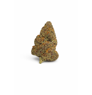GRAPPE MADNESS - MOLECULES BZ HYDROPONIE