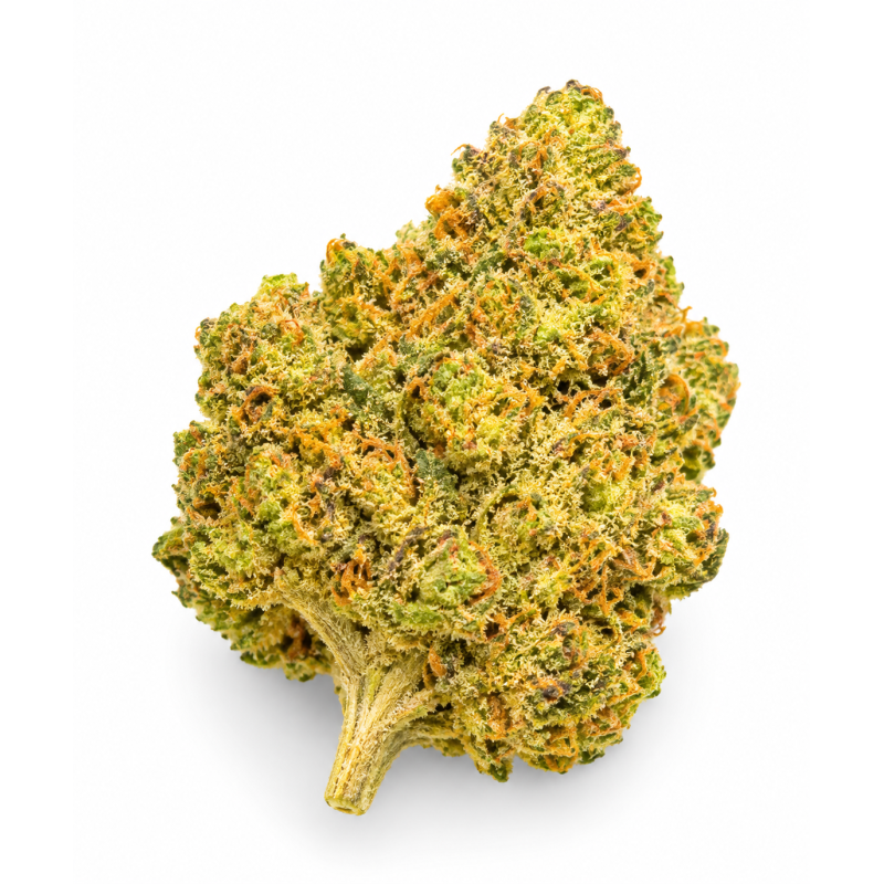 PINEAPPLE EXPRESS - MOLECULES BZ GREENHOUSE PINEAPPLE EXPRESS - MOLECULES BZ GREENHOUSE