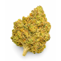 PINEAPPLE EXPRESS - MOLECULES BZ GREENHOUSE PINEAPPLE EXPRESS - MOLECULES BZ GREENHOUSE