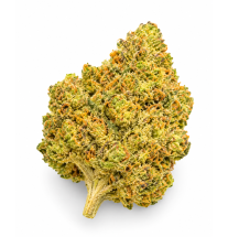 PINEAPPLE EXPRESS - MOLECULES BZ GREENHOUSE