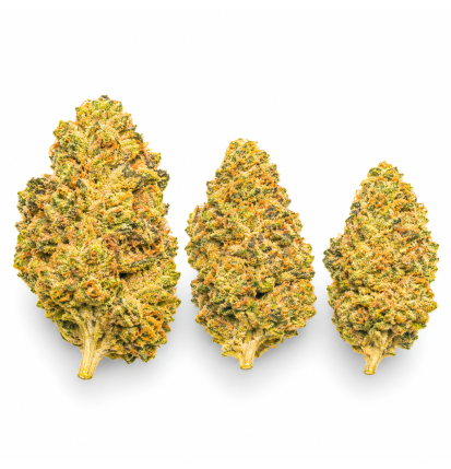 PINEAPPLE EXPRESS - MOLECULES BZ GREENHOUSE