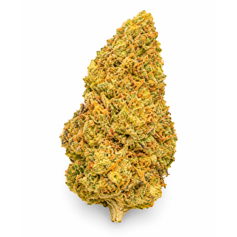 SUPER LEMON HAZE - MOLECULES BZ GREENHOUSE SUPER LEMON HAZE - MOLECULES BZ GREENHOUSE
