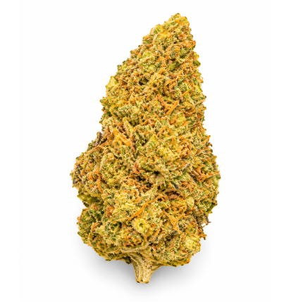SUPER LEMON HAZE - MOLECULES BZ GREENHOUSE