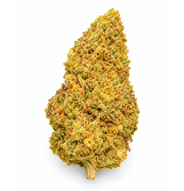 SUPER LEMON HAZE - MOLECULES BZ GREENHOUSE