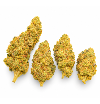SUPER LEMON HAZE - MOLECULES BZ GREENHOUSE