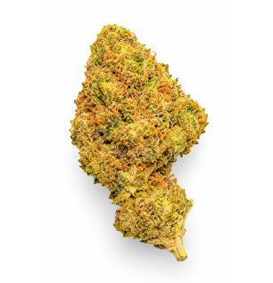 SUPER SKUNK - MOLECULES BZ GREENHOUSE