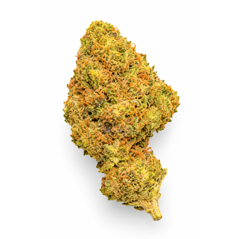SUPER SKUNK - MOLECULES BZ GREENHOUSE SUPER SKUNK - MOLECULES BZ GREENHOUSE