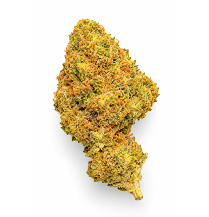 SUPER SKUNK - MOLECULES BZ GREENHOUSE