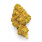 SUPER SKUNK - MOLECULES BZ GREENHOUSE SUPER SKUNK - MOLECULES BZ GREENHOUSE