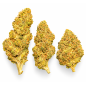 SUPER SKUNK - MOLECULES BZ GREENHOUSE SUPER SKUNK - MOLECULES BZ GREENHOUSE