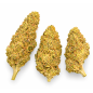 WHITE WIDOW - MOLECULES BZ GREENHOUSE
