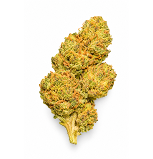WHITE WIDOW - MOLECULES BZ GREENHOUSE