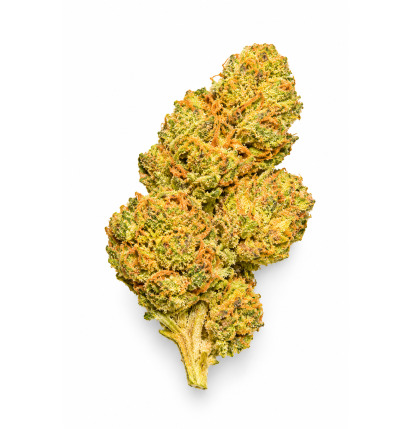 WHITE WIDOW - MOLECULES BZ GREENHOUSE