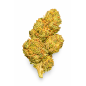 WHITE WIDOW - MOLECULES BZ GREENHOUSE