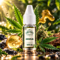 E-liquide CBD Anmesai 500 mg 10 ml Saveur Amnesia – Greeneo