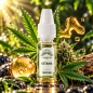 E-liquide CBD Ketama 500 mg 10 ml Saveur Chanvre – Greeneo