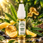 E-liquide CBD Lemon Haze 500 mg 10 ml – Greeneo