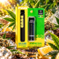 Kit PUUD CBD Amnesia 5 % Full Spectrum rechargeable – Marie Jeanne