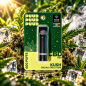 Pod CBD PUUD Kush 2 ml 5 % Broad Spectrum – Marie Jeanne