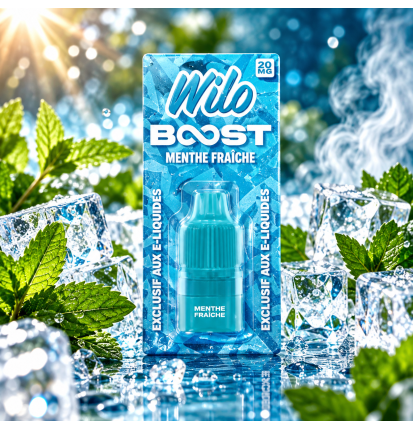Recharge Wilo Boost Menthe Fraîche 2 + 10 ml – Cartouche compatible Wilo Boost