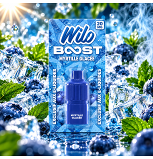 Recharge Wilo Boost Myrtille Glacée 2 + 10 ml – Wilo