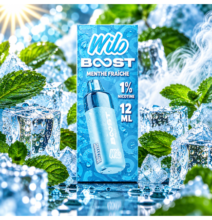 🌿 Wilo Boost – Cartouches Menthe Fraîche