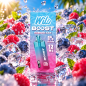 Wilo Boost Framboise Bleue 12 ml – Nicotine 1 % (10 mg/ml)