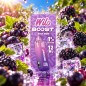 Wilo Boost Cassis Mûre 12 ml – Nicotine 1 % (10 mg/ml)