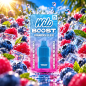 Cartouche Wilo Boost Framboise Bleue 2 + 10 ml – Nicotine 1 % (10 mg/ml)