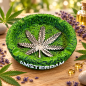 Cendrier rond Amsterdam – Feuilles de cannabis en relief