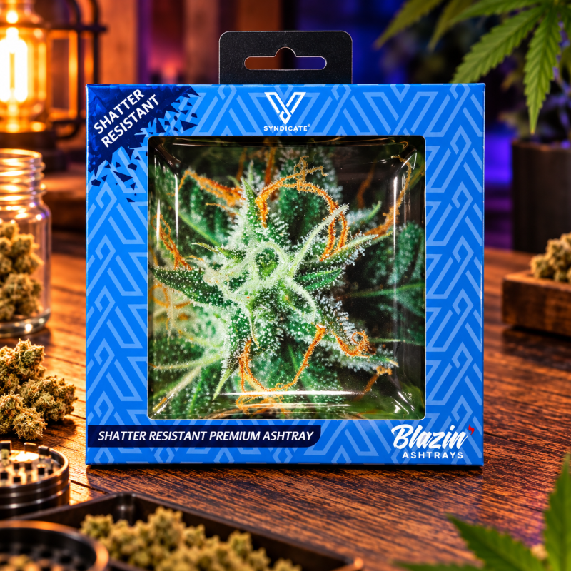 Petit cendrier carré en verre – V Syndicate Blazin’