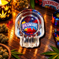Cendrier en verre Backwoods – Cendrier de table