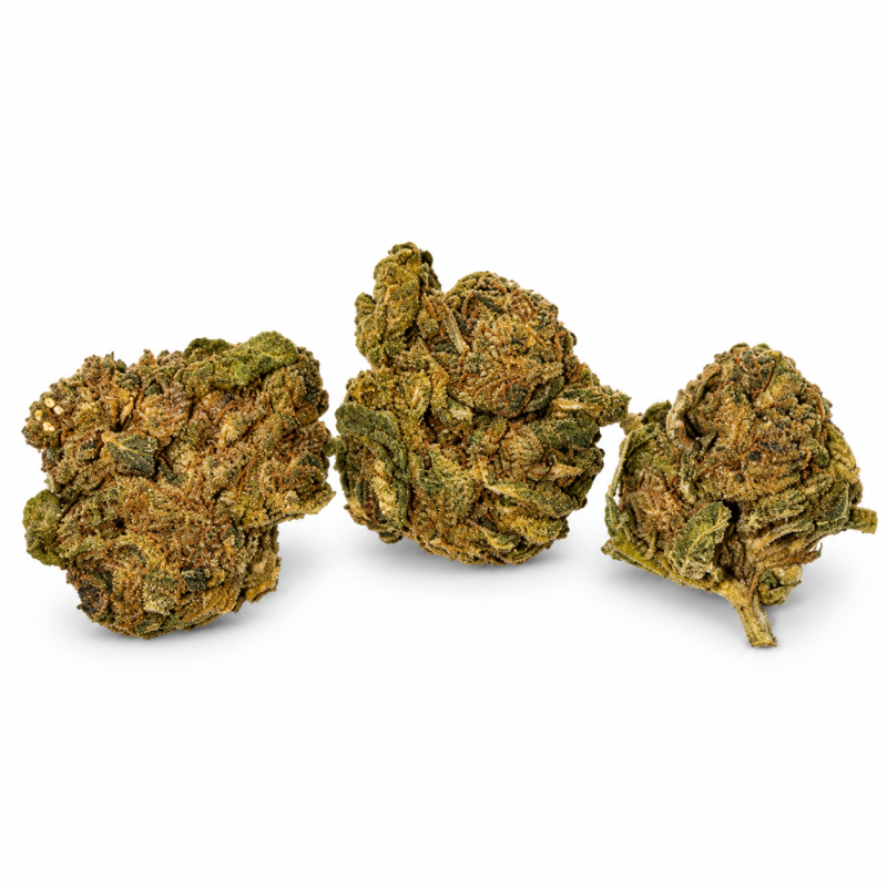 Fleurs de CBD OGZ Small Bud – Petites têtes de chanvre