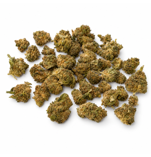 Fleurs de CBD OGZ Small Bud – Petites têtes de chanvre