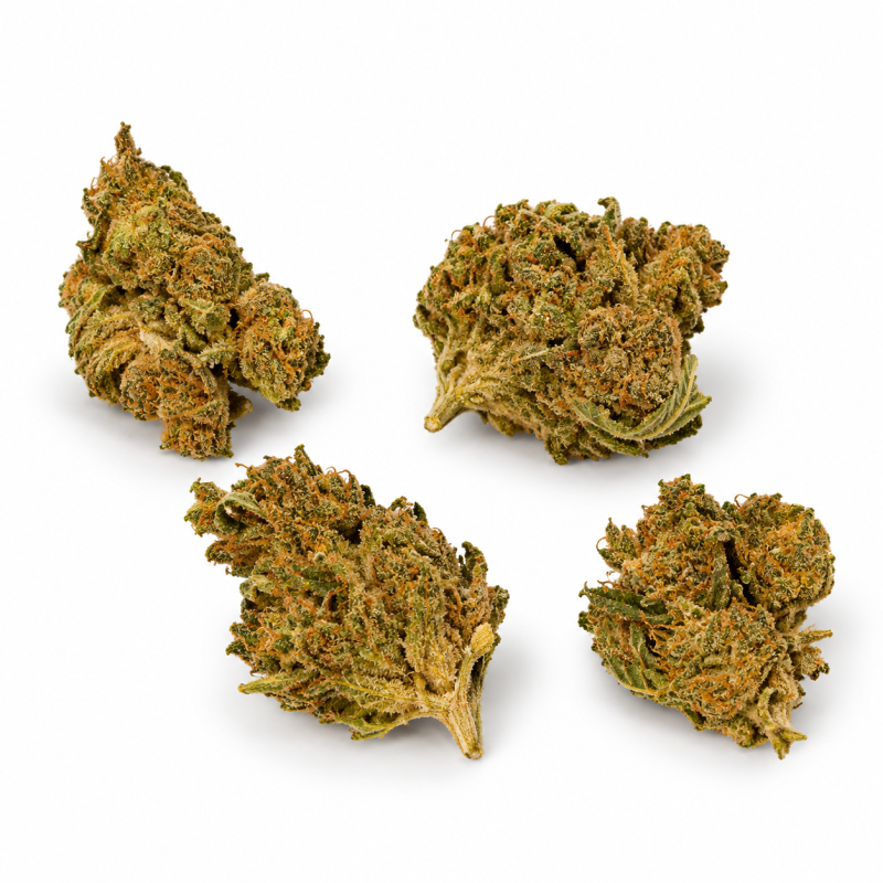 Fleurs de CBD Pineapple Small Bud – Petites têtes de chanvre