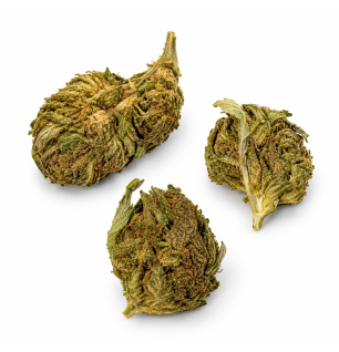 Fleurs de CBD Sweet Kush Small Bud – Petites têtes de chanvre