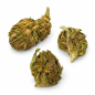Fleurs de CBD Sweet Kush Small Bud – Petites têtes de chanvre
