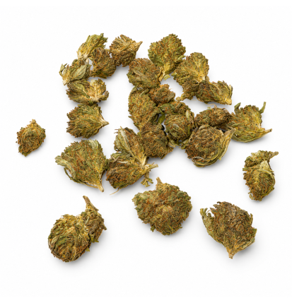 Fleurs de CBD Sweet Kush Small Bud – Petites têtes de chanvre