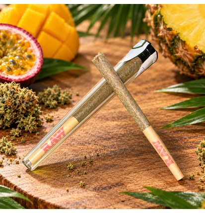 Tropicale – Préroulé CBD 0,9 g avec embout RAW