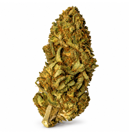 Fruit Cake – Fleurs de CBD Greenhouse