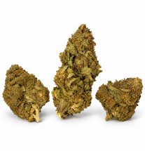Fruit Cake – Fleurs de CBD Greenhouse
